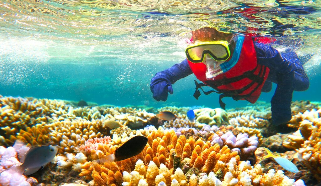 Explore the Great Barrier Reef