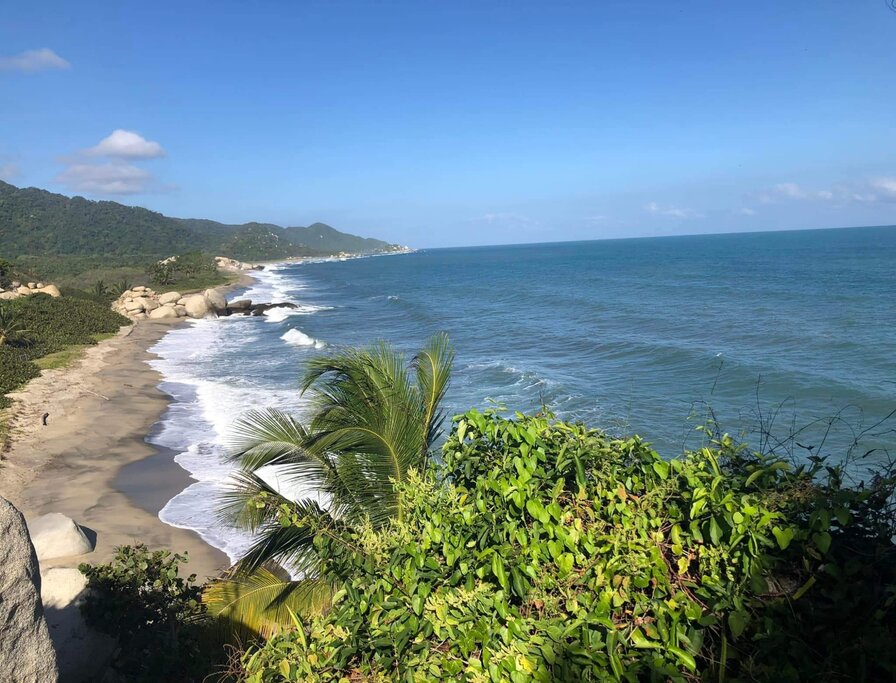 A stunning sandy cove backed by palms