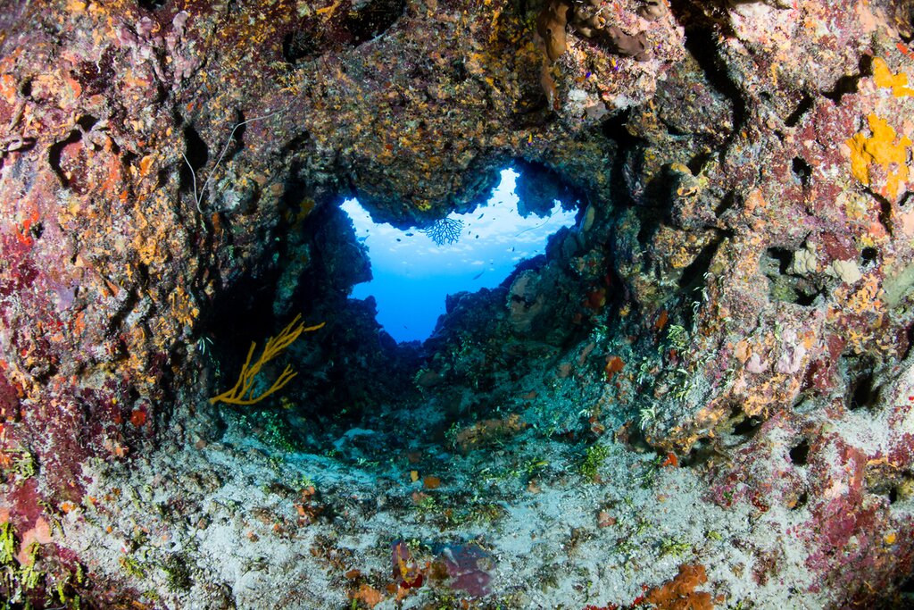 Blue Hole - Ras Abu Gallum -Blue Lagoon