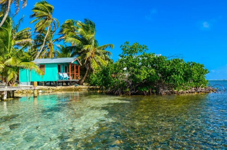 Rainforest & Reef Exploration in Belize - 7 Days