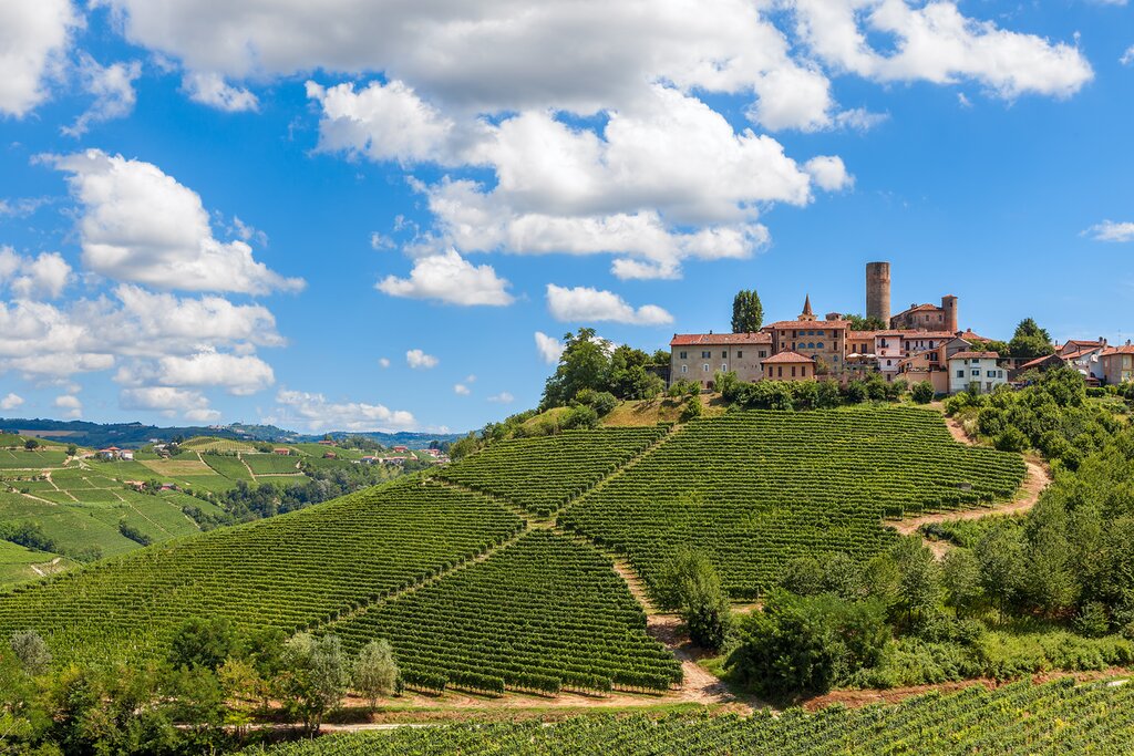 Lush vineyards of the Langhe Region