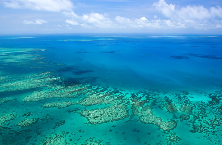 The Great Barier Reef, offshore of Cairns