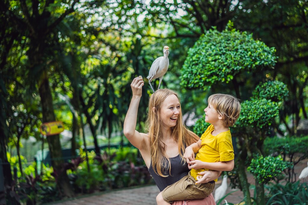 Birds and Artist's - A Family Day Out