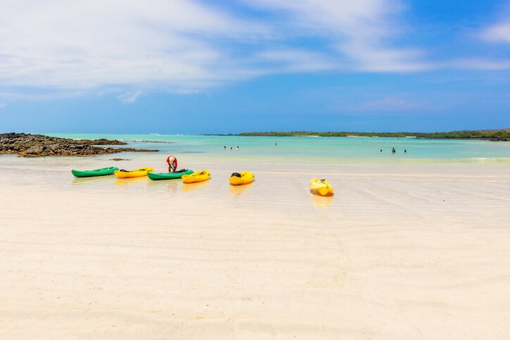 Kayaking Adventure in Tortuga Bay & Afternoon Bay Tour of Santa Cruz Island