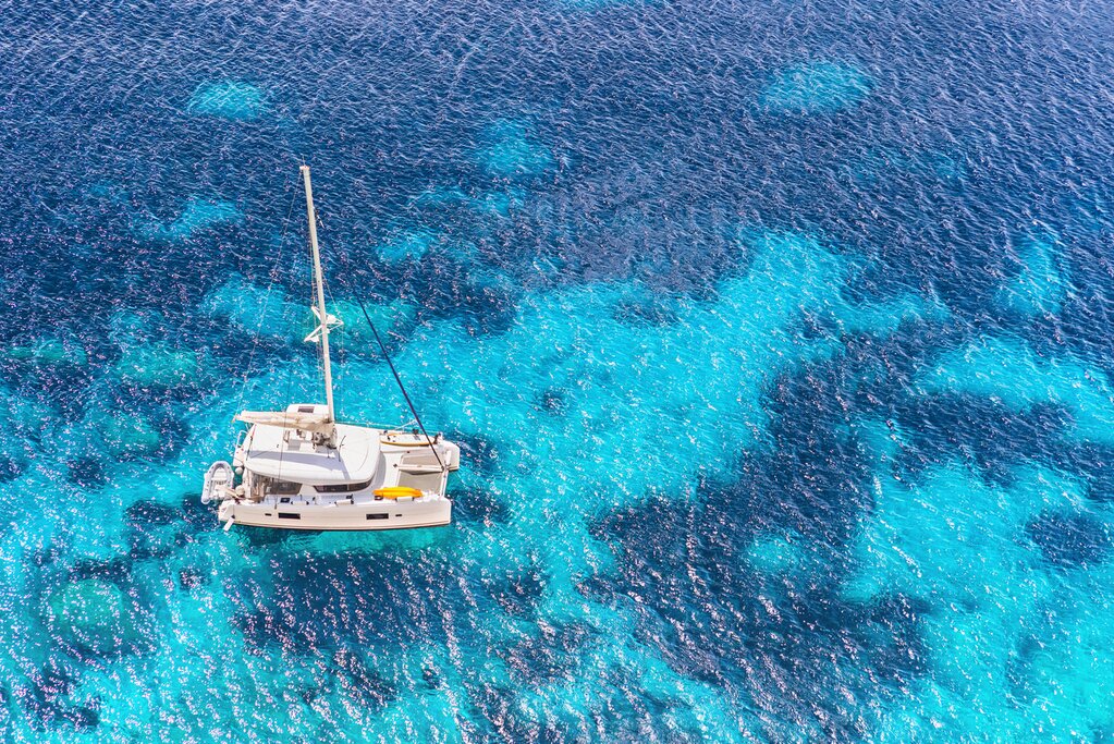 Explore the Great Barrier Reef with a private marine biologist guide