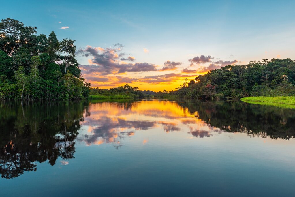The Amazon River