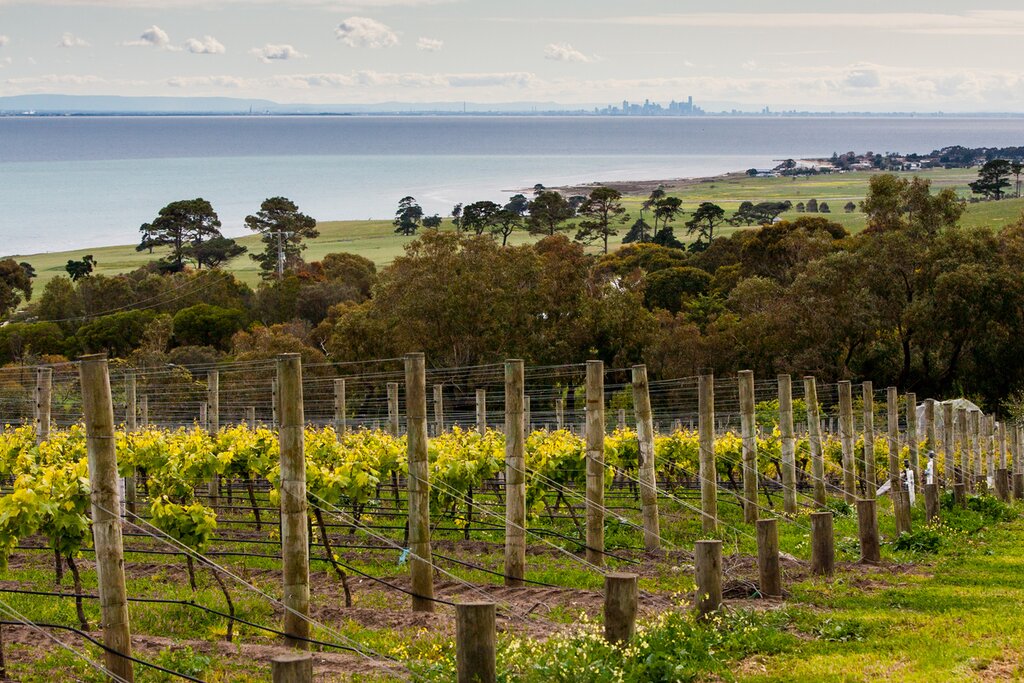 Around The Bay Food & Wine Taste Trail