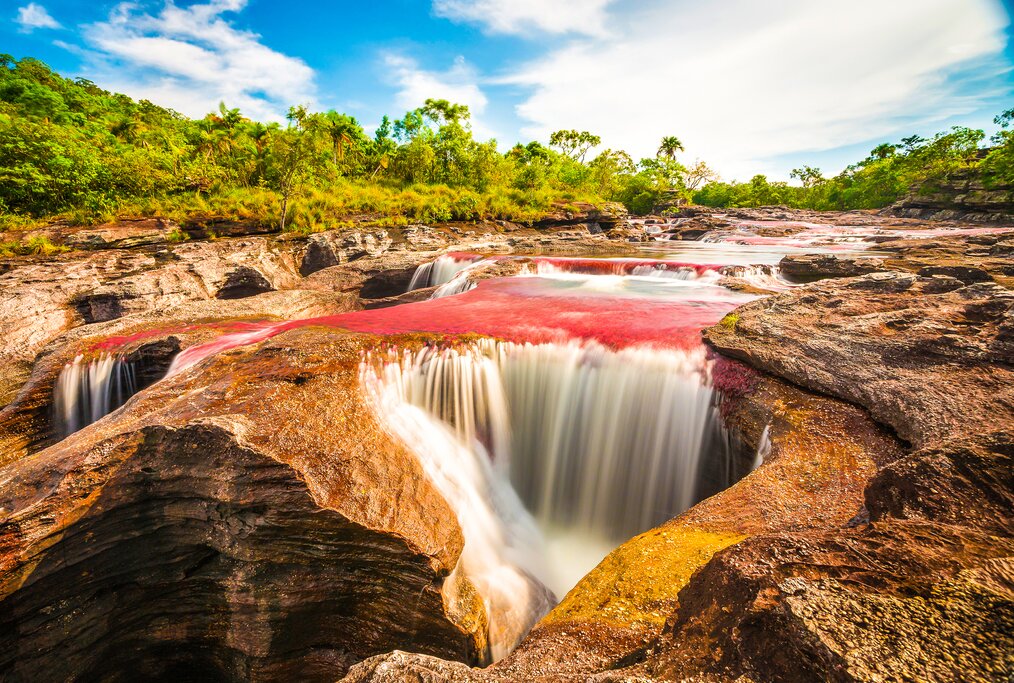 See Caño Cristales, one of Colombia's greatest natural wonders, on this weeklong luxury trip