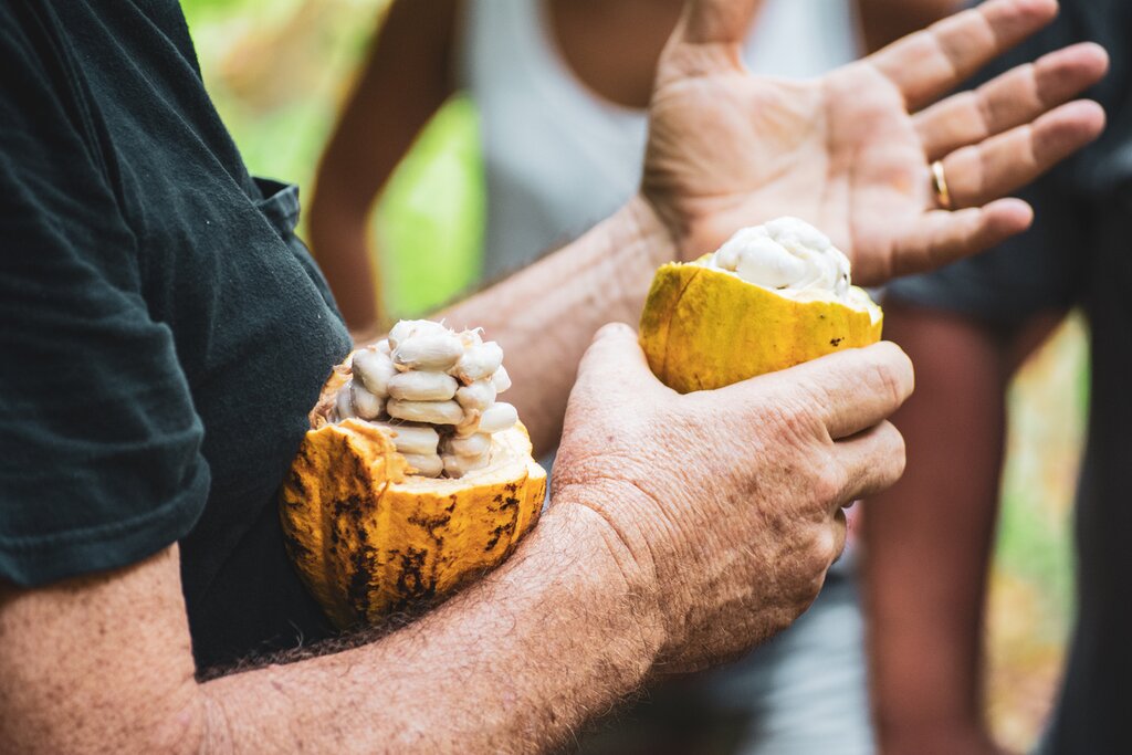 Learn about local traditions