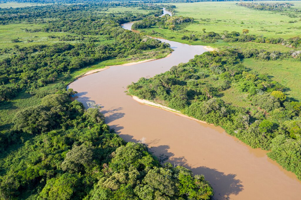 The Cuiabá River, in the northern Pantanal