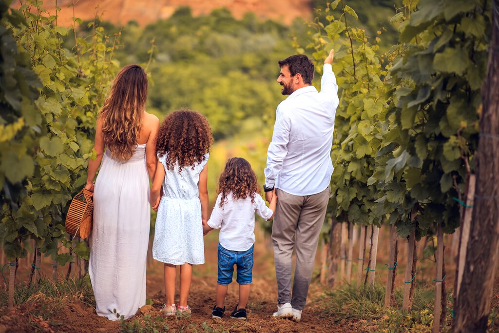 Explore the stunning vineyards and olive orchards in the foothills of the Andes