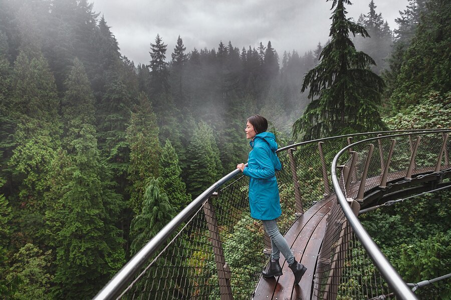Views across the treetops from the Capilano Suspension Bridge Park