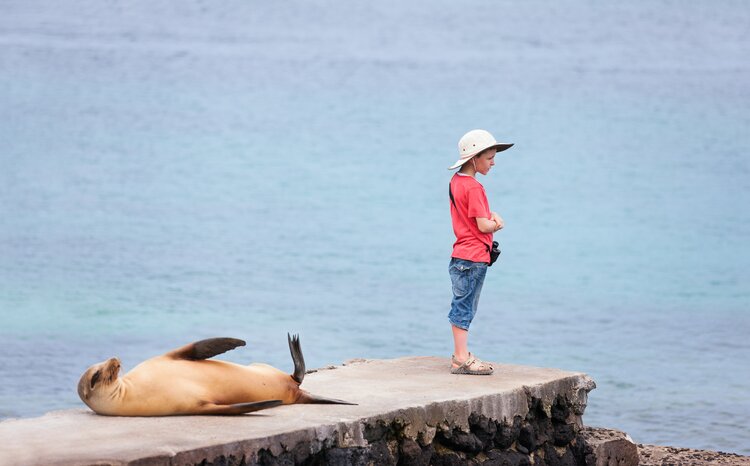 Meet the locals as you arrive in the Galápagos