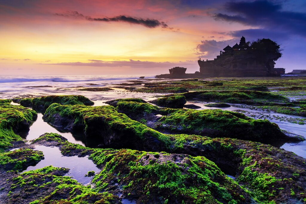 Transfer from Ubud to to I Gusti Ngurah Rai International Airport (DPS)