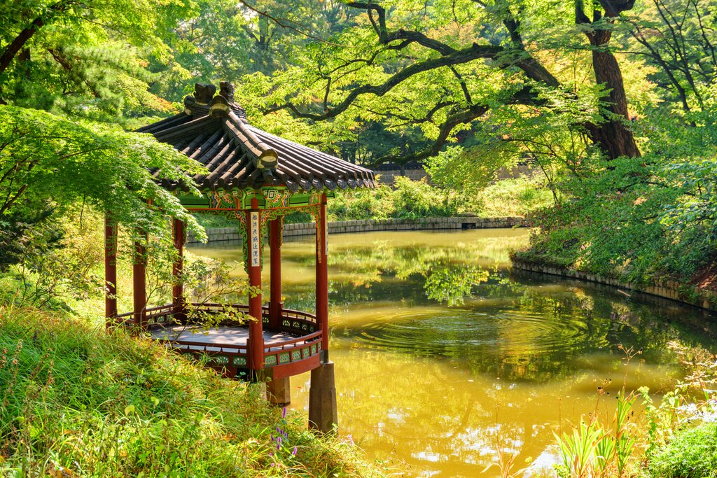 Full Day Changdeokgung Palace and Ihwa Mural Village Tour