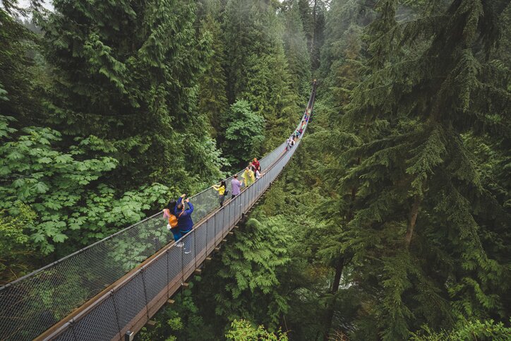 Views across the treetops from the Capilano Suspension Bridge Park