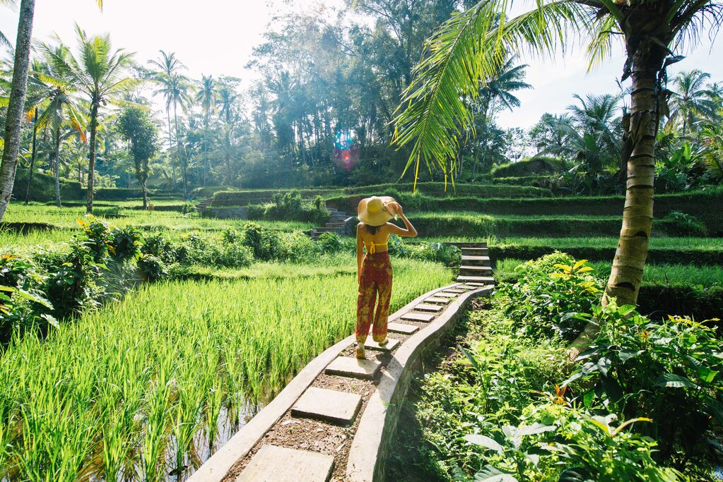 Woman with hat in rice field
