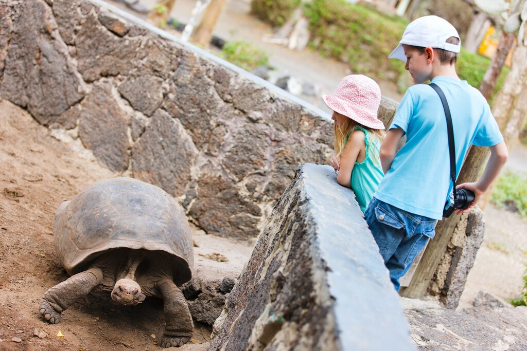 Visit Highlands Tortoise Reserve & Charles Darwin Research Station