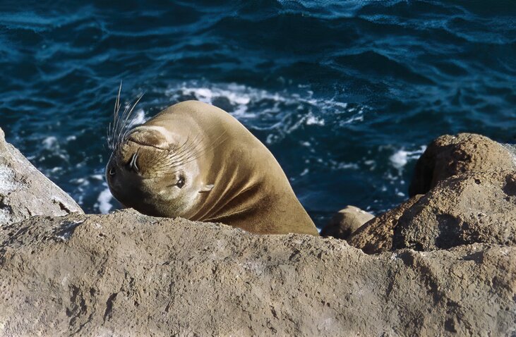Santa Cruz Island through your eyes: Leisure Day