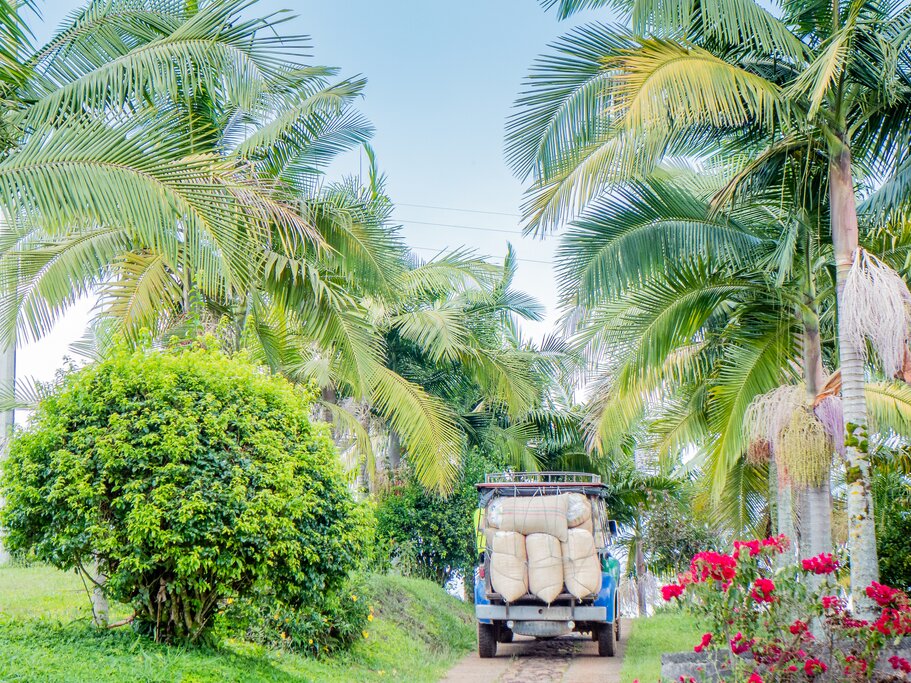 A truck loaded with sacks of coffee