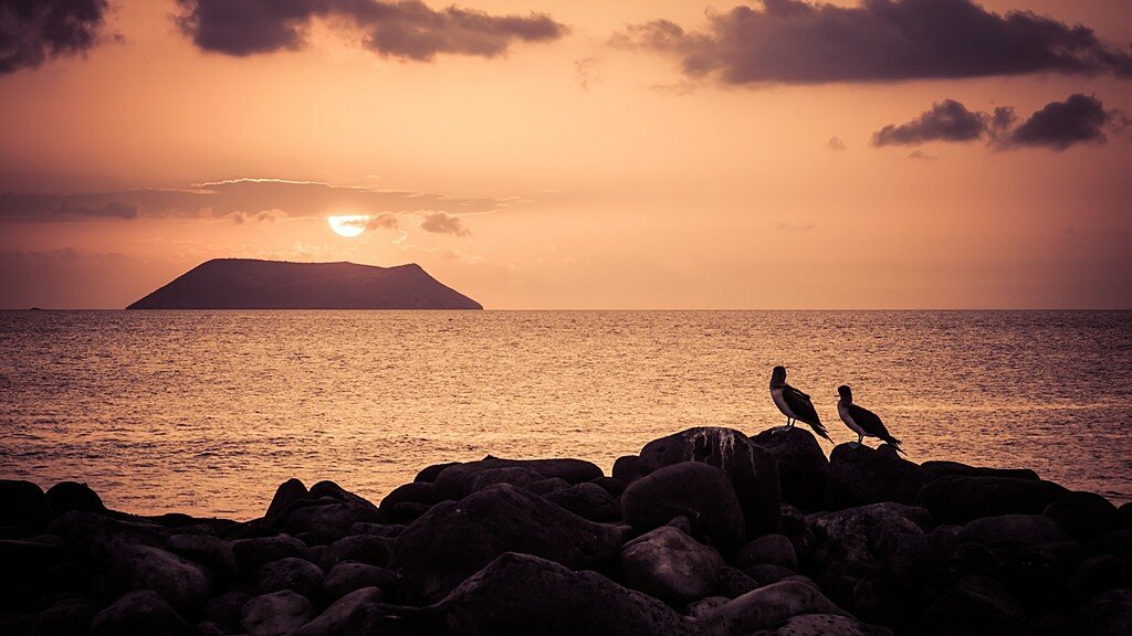 Bid Farewell to the Galapagos