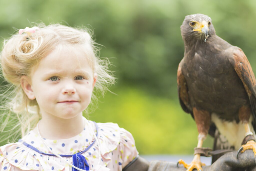 Make some new feathery friends