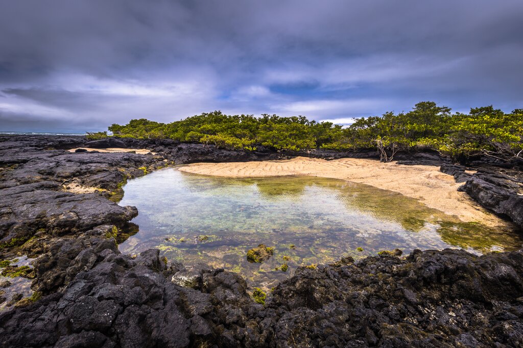 Pool of water in Los Túneles volcanic rock formations on Isabela Island