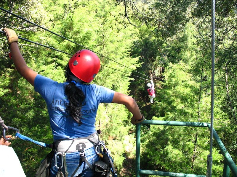 Canopy