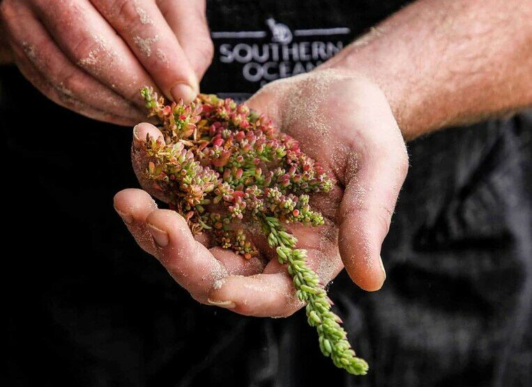 Spend two nights at a resort on Kangaroo Island sampling the sustainable food scene (photo courtesy of Southern Ocean Lodge)