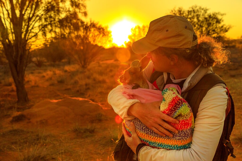 Alice Springs Meet orphaned 'roos at The Kangaroo Sanctuary