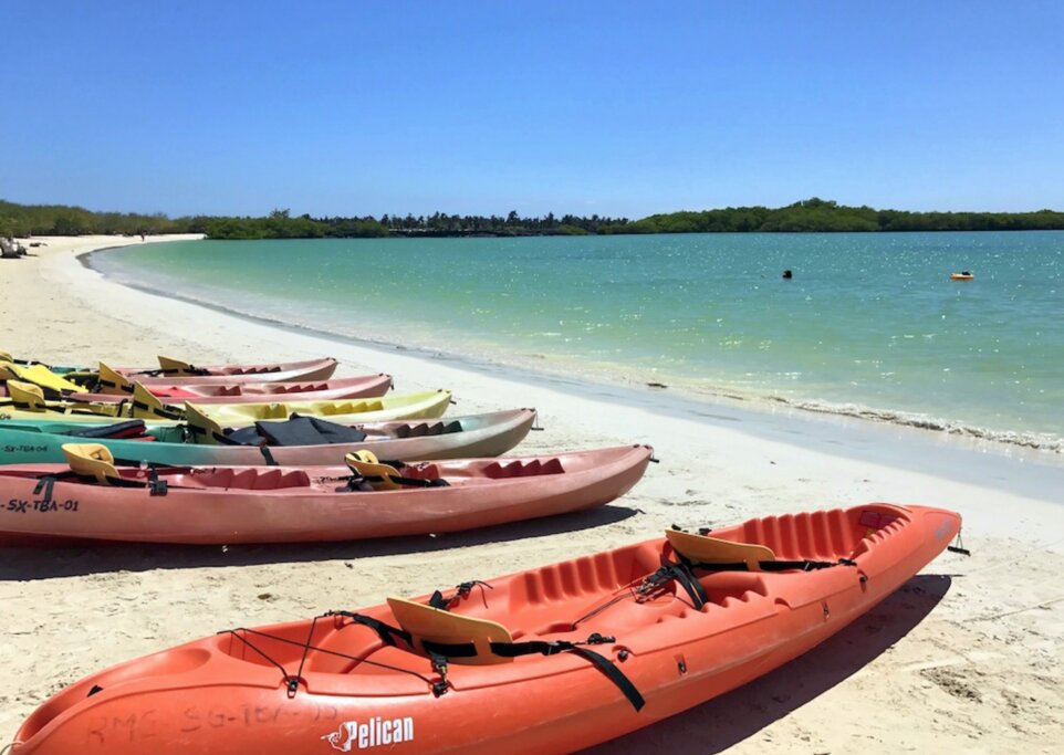 Kayaking on Tortuga Bay