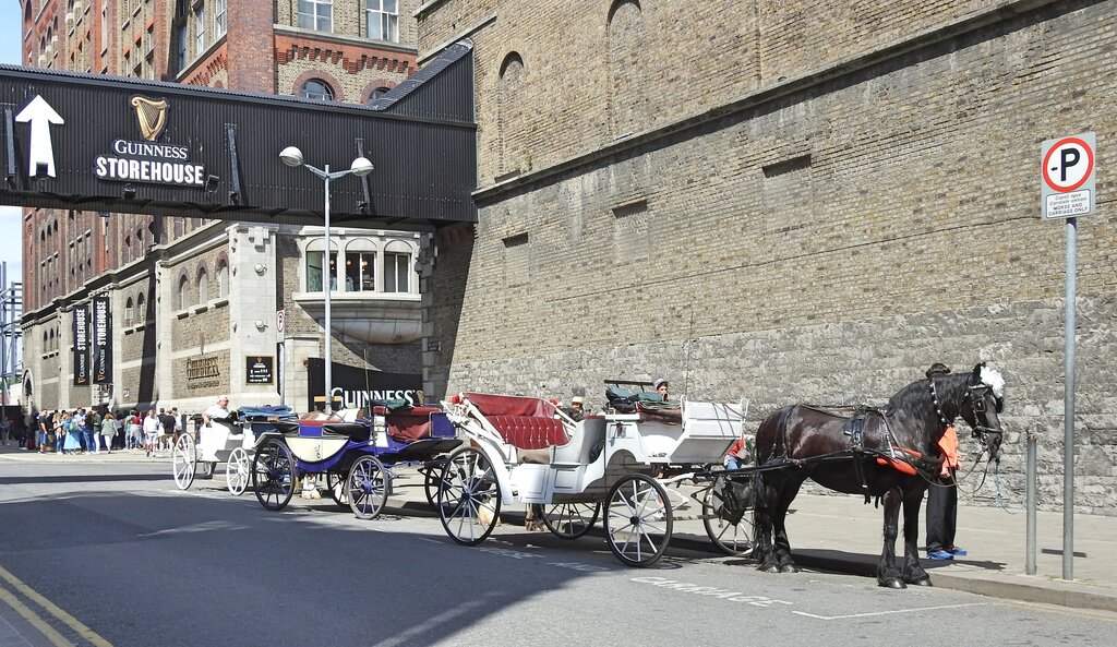 Horse-drawn carts and a sign for the Guinness Storehouse