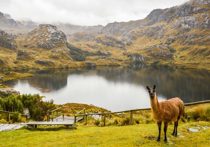 El Cajas National Park