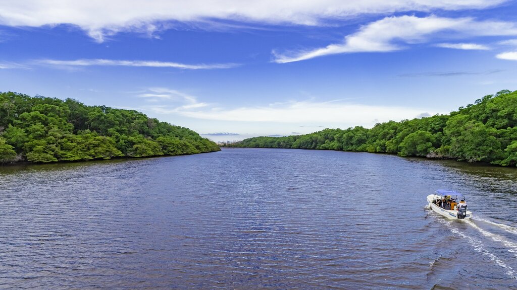 Preguiças River Tour with drop off in Atins