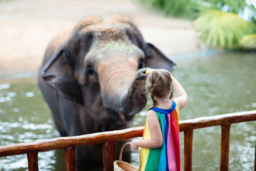 Girl with elephant