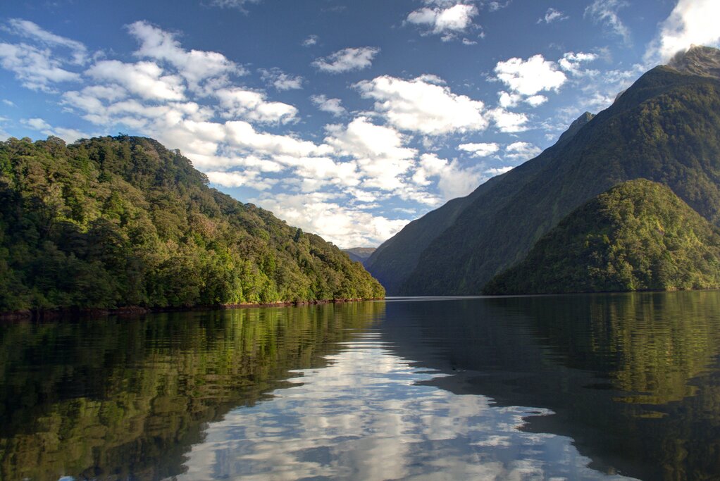 Doubtful Sound Wilderness Cruise (ex Queenstown)