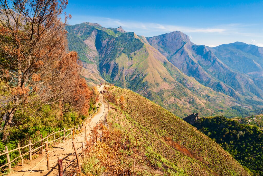 Drive through the stunning Western Ghats