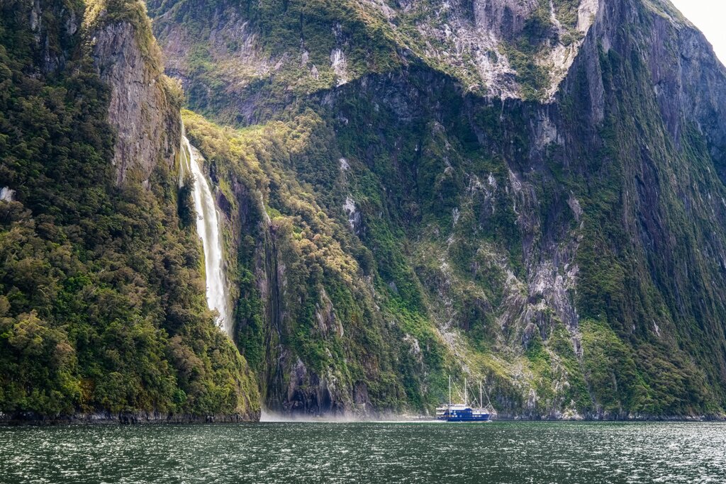 Boat around the Milford Sound / Piopiotahi on your first full day of the trip