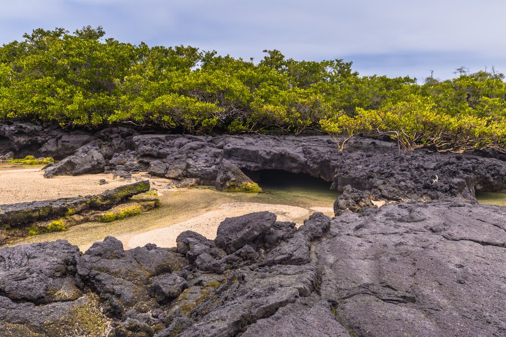 lava tunnels of Isla Isabela as you explore the Galápagos Islands