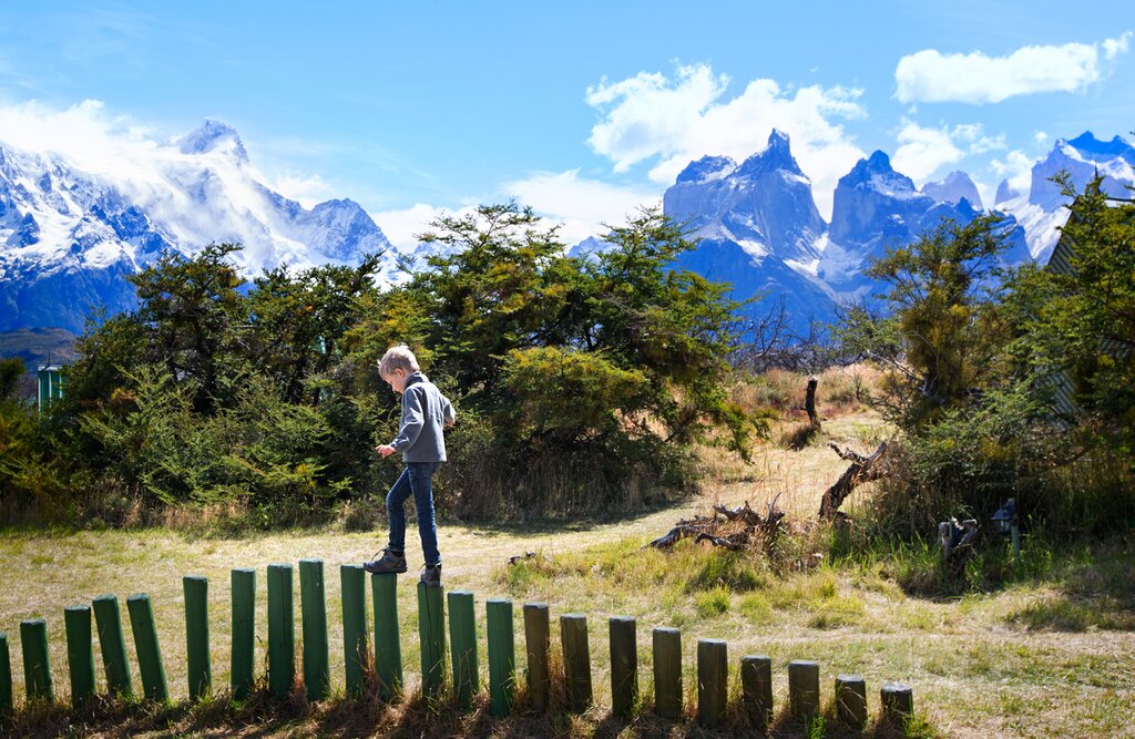 Look for wild guanacos in Torres del Paine