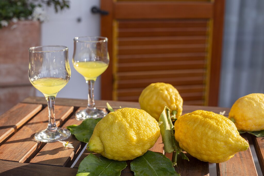 Limoncello Tour & Tasting