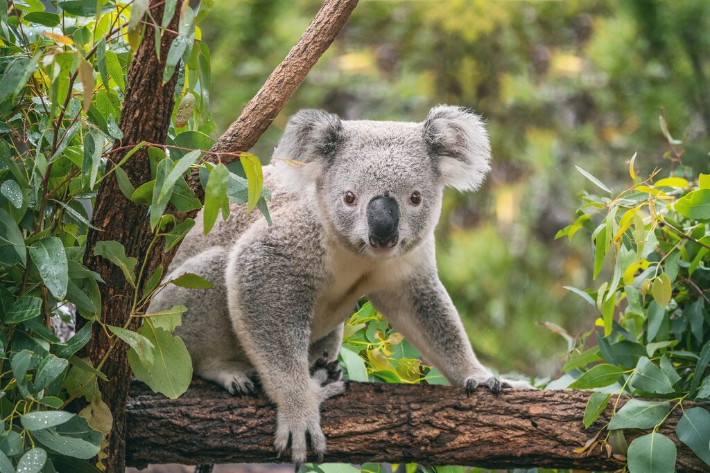 Your Wildlife Habitat tour