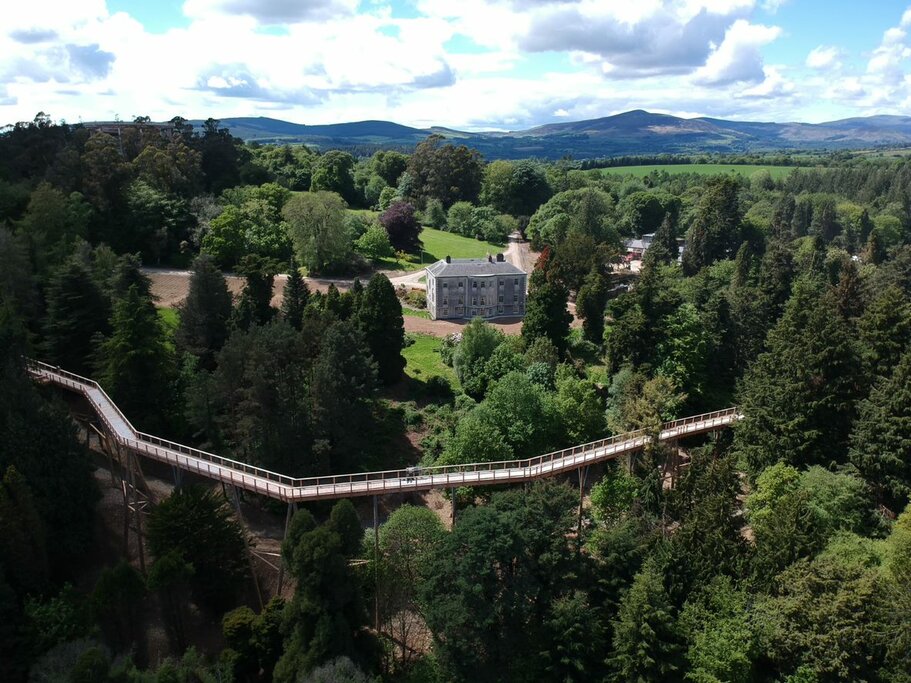 Beyond the Trees Avodale - Tree Top Walk