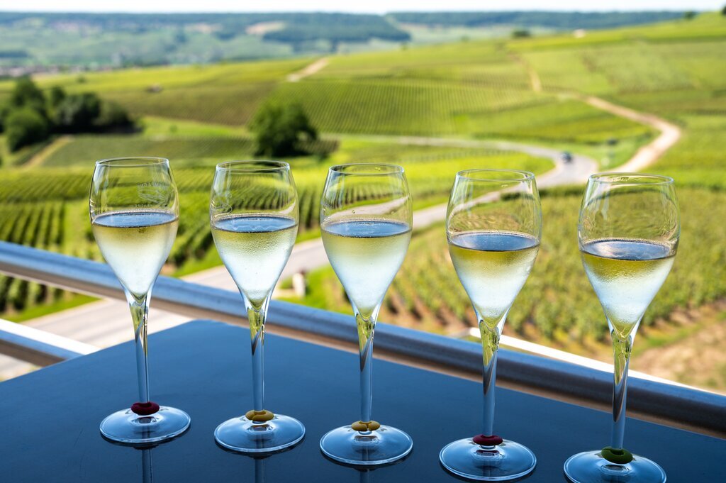 Full Day Champagne Tour from Paris