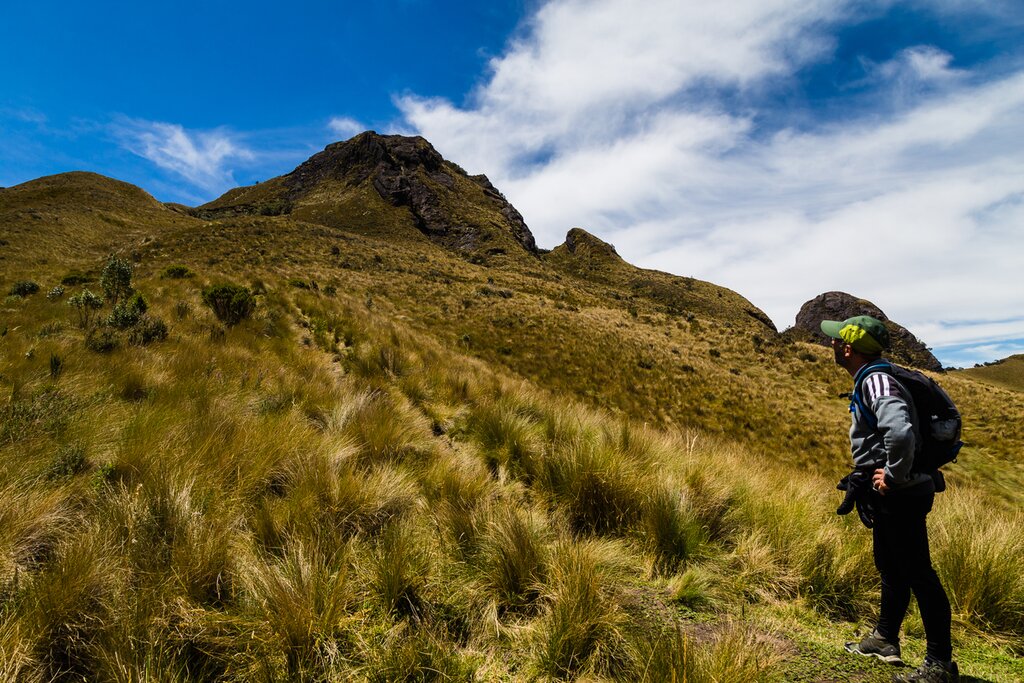 Hike to various summits while looking for rare birds