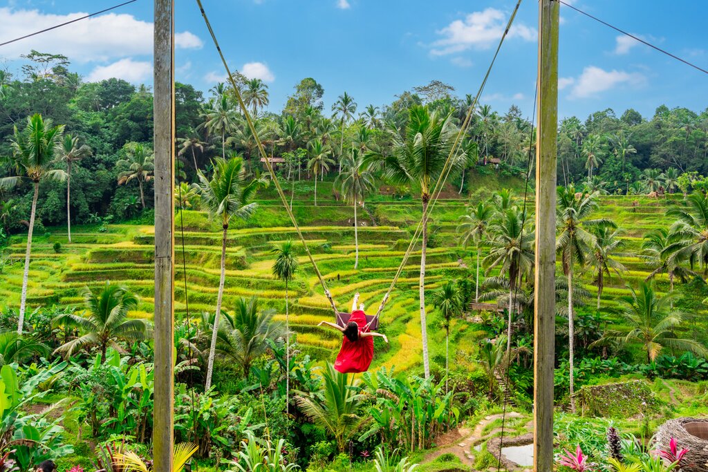 Visit Tegallalang Rice Terrace