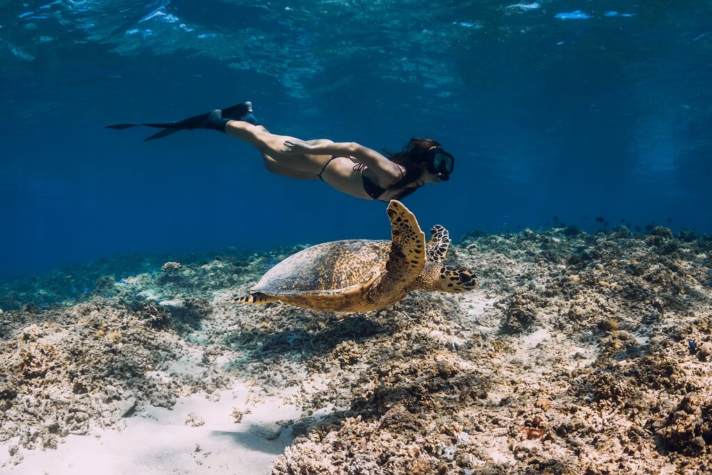 A woman snorkeling beside a turtle