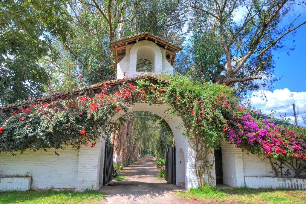 Old hacienda entrance in Pichincha Province, Ecuador, covered in flowers leading to a dirt road