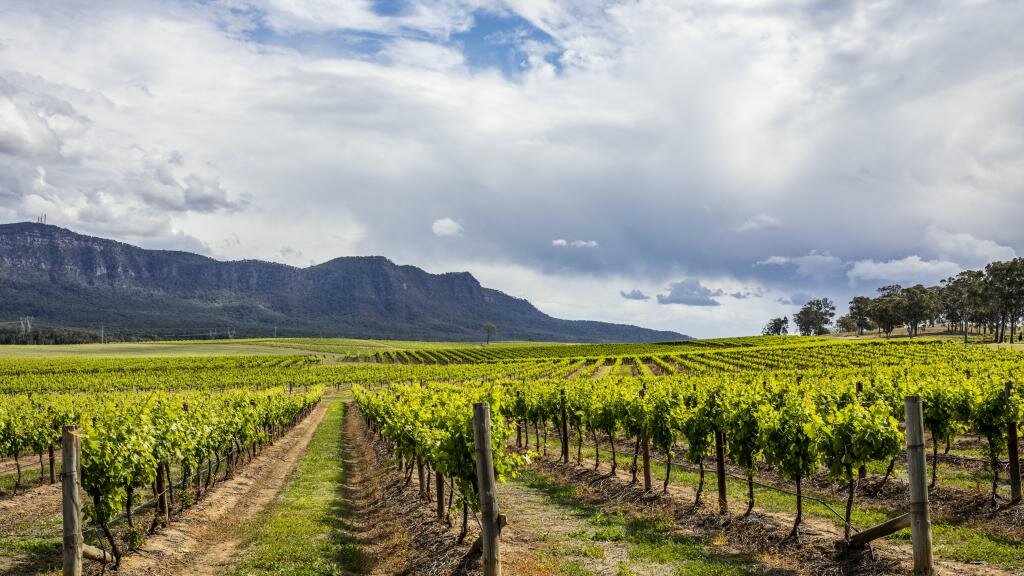 Full Day Hunter Valley Tour