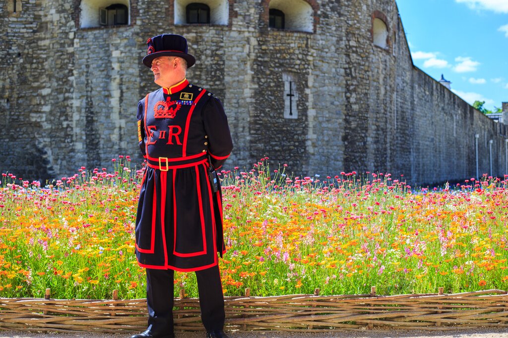 Kid-Friendly Tour of the Tower of London and Tower Bridge with Tickets included